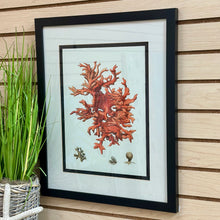 Load image into Gallery viewer, Framed Coral Art II
