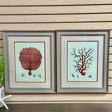 Load image into Gallery viewer, Coral Framed Art I
