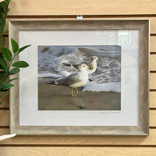 Load image into Gallery viewer, Rebecca Gurganus 'Stepping Out' Photography
