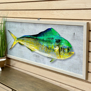 Framed Dolphin Fish Art