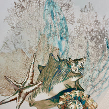 Load image into Gallery viewer, Colored Seashell I Canvas Art
