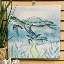 Load image into Gallery viewer, Seaweed Turtle II Canvas
