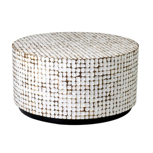 Coconut Shell Coffee Table