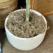 Load image into Gallery viewer, Artificial Eucalyptus Tree
