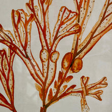 Load image into Gallery viewer, Orange Coral Art I
