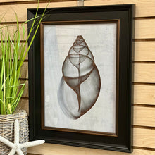 Load image into Gallery viewer, Black Framed Shell Art II
