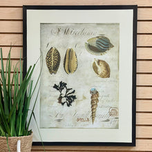 Load image into Gallery viewer, Shells On Canvas I
