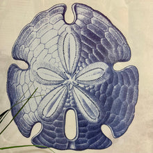Load image into Gallery viewer, Framed Sand Dollar Art
