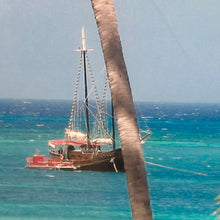 Load image into Gallery viewer, Island Sailing Framed Art
