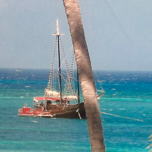 Island Sailing Framed Art