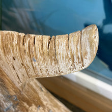Load image into Gallery viewer, Driftwood Whale Tail
