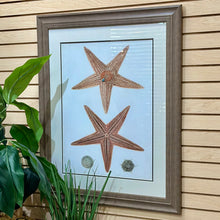Load image into Gallery viewer, Starfish Framed Art
