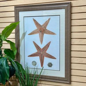 Starfish Framed Art