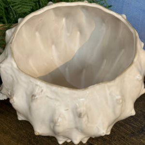 White Cactus Planter
