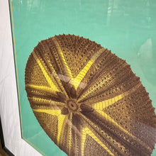 Load image into Gallery viewer, Sand Dollar Art
