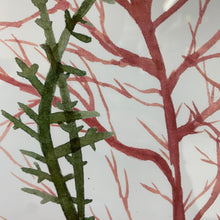 Load image into Gallery viewer, Framed Seaweed II
