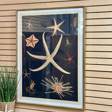Load image into Gallery viewer, Framed Sea Life Art
