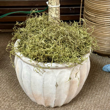 Load image into Gallery viewer, Faux Ficus W/Lights

