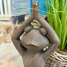 Load image into Gallery viewer, Yoga Frog I
