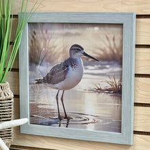 Load image into Gallery viewer, Sandpiper On Shore I
