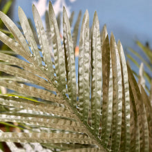 Load image into Gallery viewer, Palm In Concrete Pot
