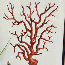Load image into Gallery viewer, Framed Coral Art I
