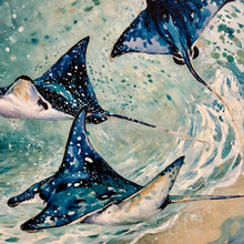 Load image into Gallery viewer, SM Manta Rays I
