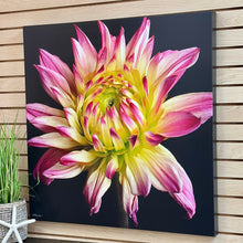 Load image into Gallery viewer, Dahlia Canvas
