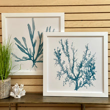 Load image into Gallery viewer, Blue Sea Plant I
