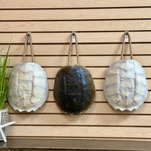 Load image into Gallery viewer, White Turtle Shell Decor
