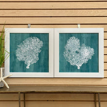 Load image into Gallery viewer, Teal Sea Fan II
