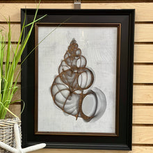 Load image into Gallery viewer, Black Framed Shell Art I
