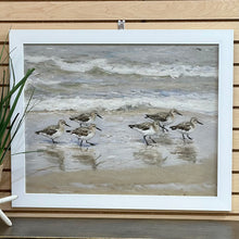 Load image into Gallery viewer, Running Sandpiper Art

