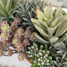 Load image into Gallery viewer, Long Dough Bowl Succulent
