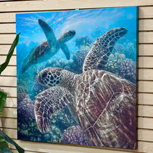 Load image into Gallery viewer, Underwater Sea Turtles

