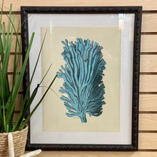 Load image into Gallery viewer, Framed Aqua Coral
