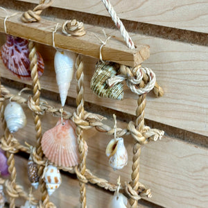 Shell Wall Hanging