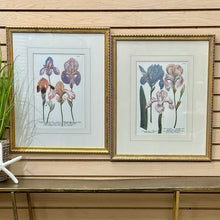 Load image into Gallery viewer, Gold Framed Irises II

