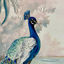 Load image into Gallery viewer, Teal Peacock I Giclee Art
