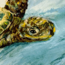 Load image into Gallery viewer, Green Turtle W/Fish Giclee
