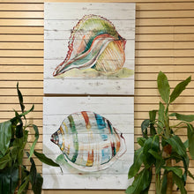 Load image into Gallery viewer, Colorful Shell Canvas I
