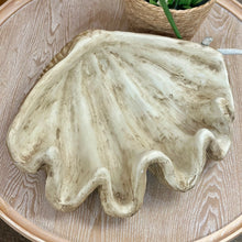 Load image into Gallery viewer, Clam Shell Decor
