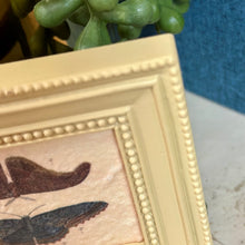 Load image into Gallery viewer, Butterfly Art Magnet
