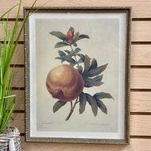 Load image into Gallery viewer, Silver Framed Botanical II
