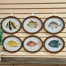 Load image into Gallery viewer, Oval Fish Print V Art
