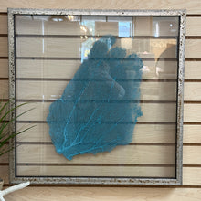 Load image into Gallery viewer, LG Glass Framed Sea Fan
