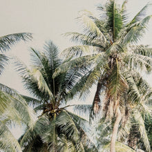 Load image into Gallery viewer, Florida Palm Art
