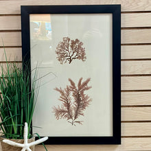 Load image into Gallery viewer, Botanical Print II Art
