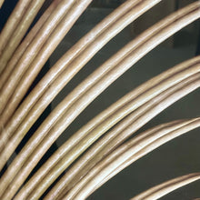 Load image into Gallery viewer, Framed Palm Art
