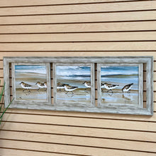 Load image into Gallery viewer, 3 Panel Shorebird Art
